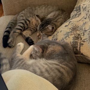 Meet your Posher, Vanessa